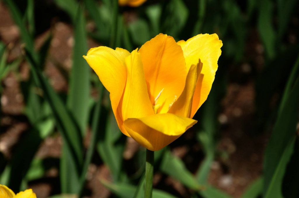 DSC_0032.JPG