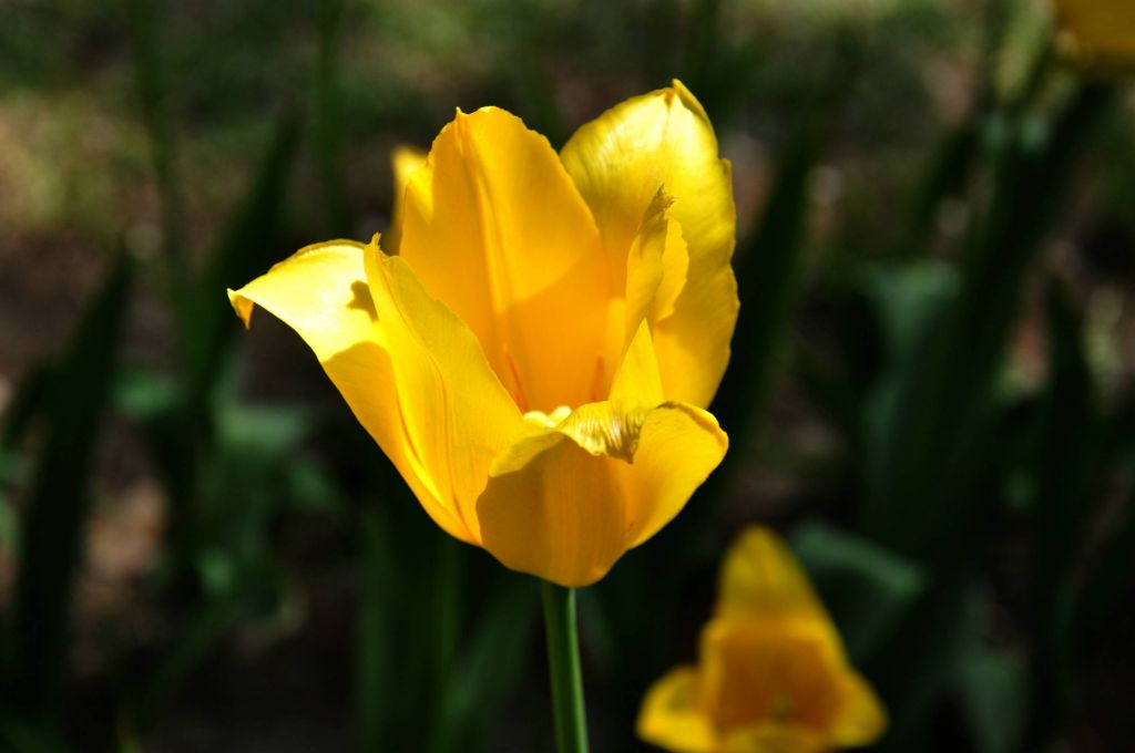 DSC_0033.JPG
