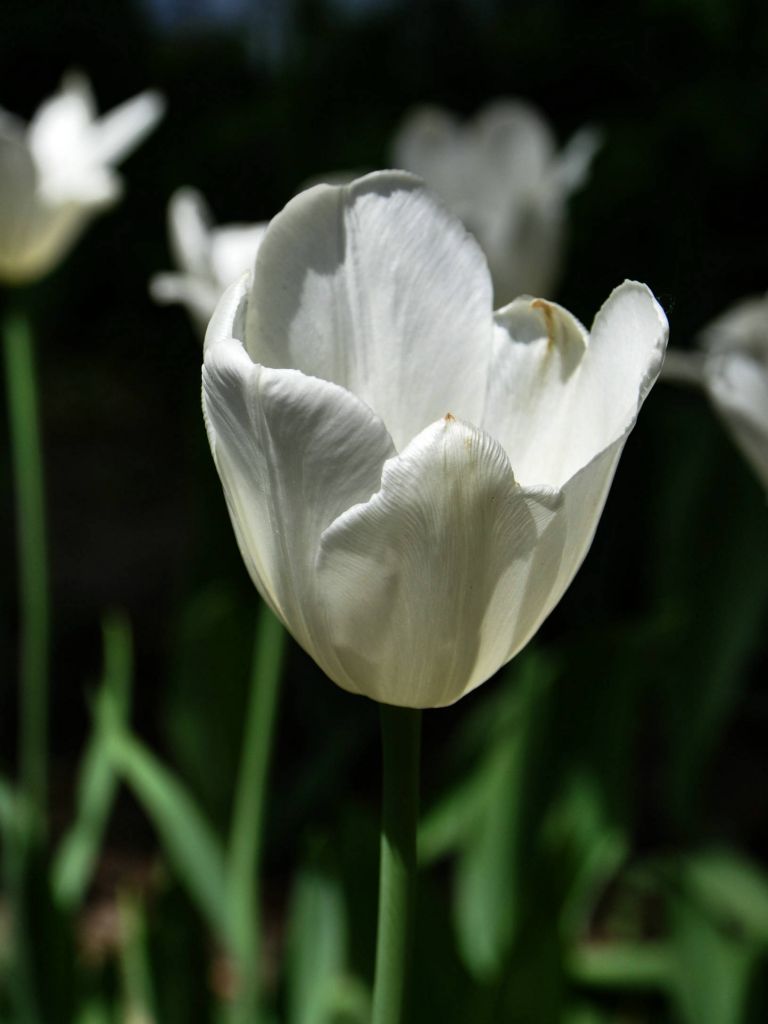 DSC_0034.JPG
