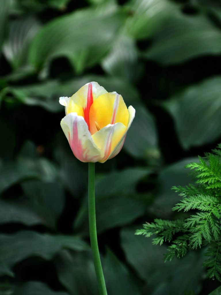 DSC_0051.JPG