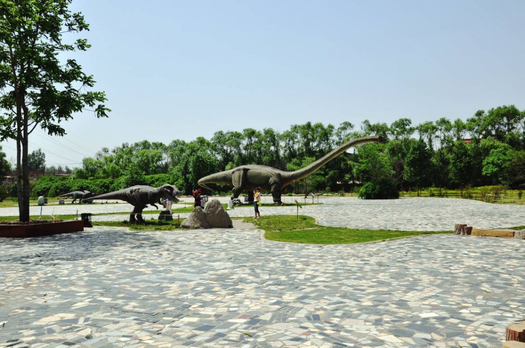 DSC_0091.JPG
