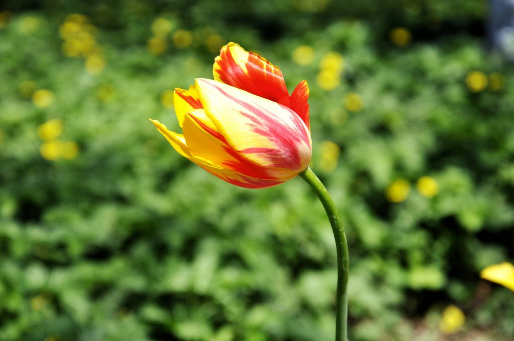 DSC_0120.JPG