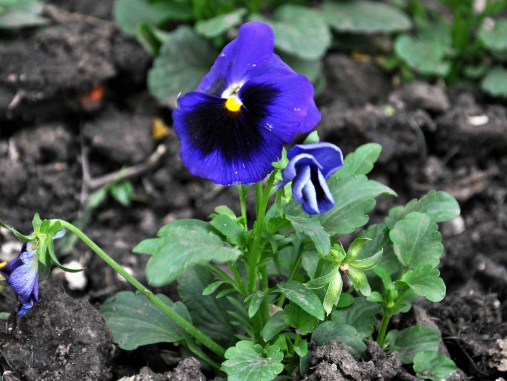 DSC_0151.JPG