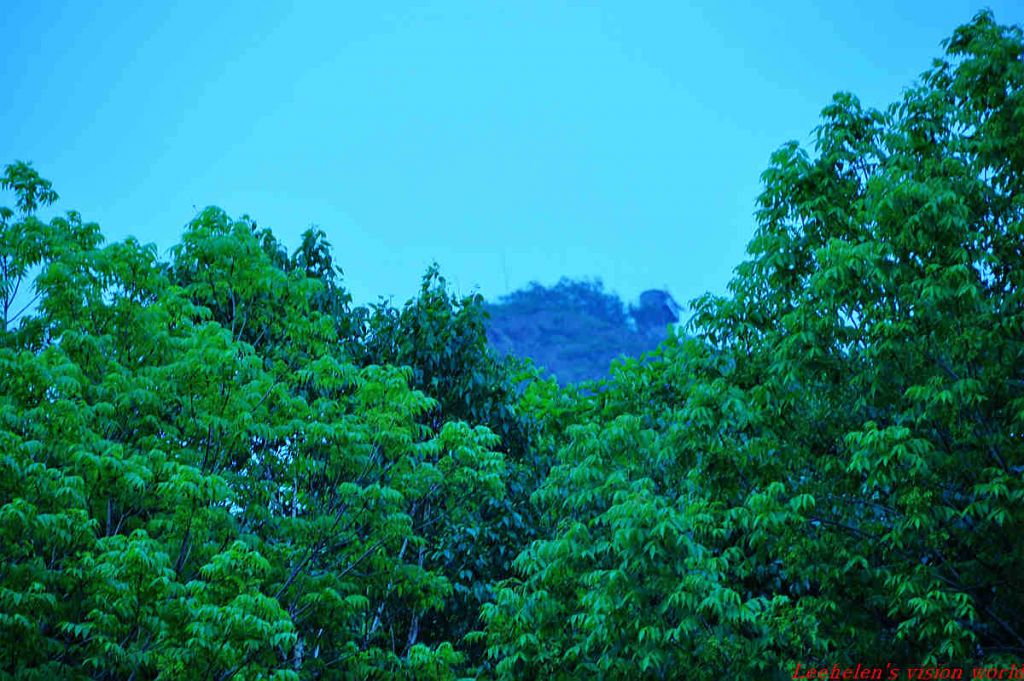 DSC_0364.jpg