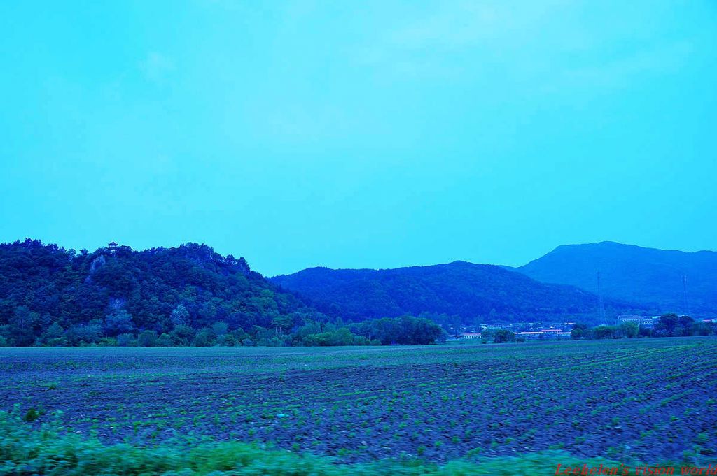 DSC_0415.jpg