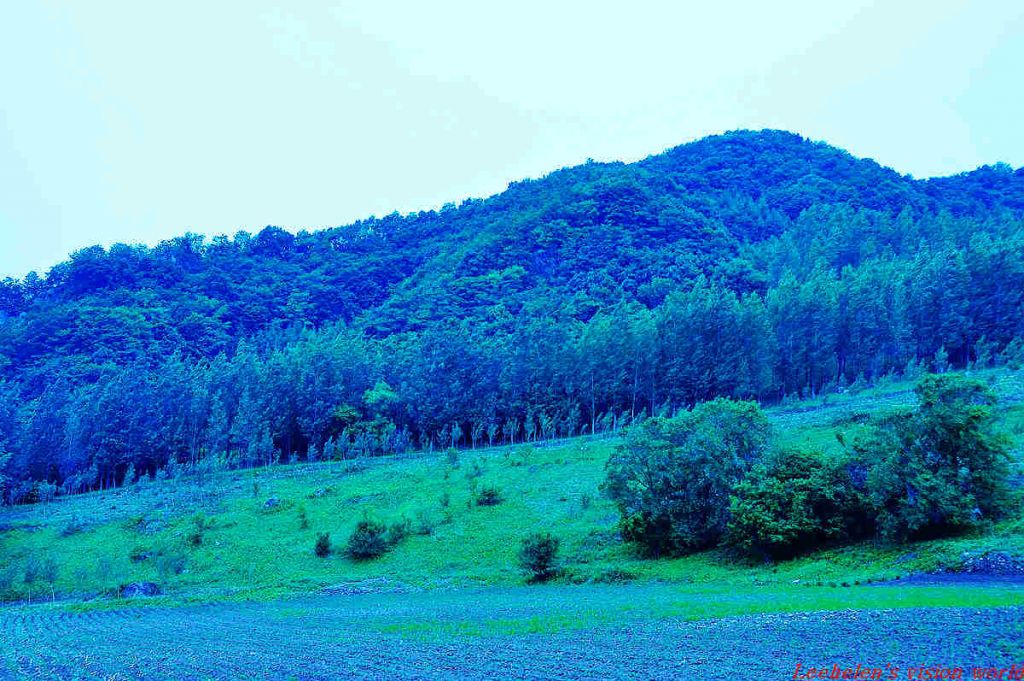DSC_0411.jpg