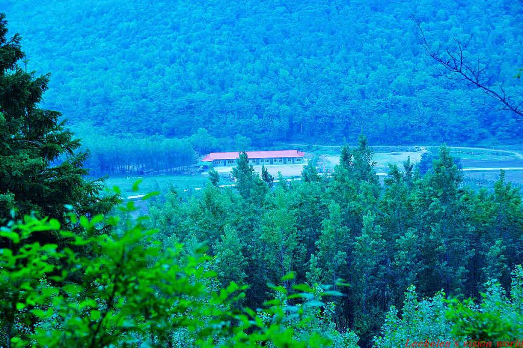 DSC_0390.jpg