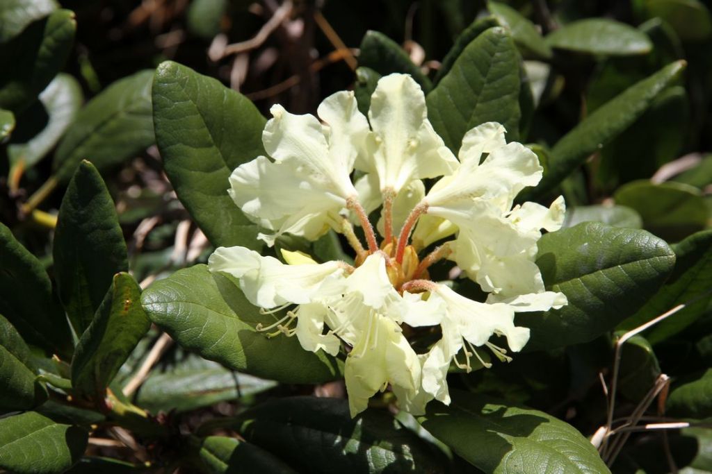 ���ɽ������Ƭ 201.jpg