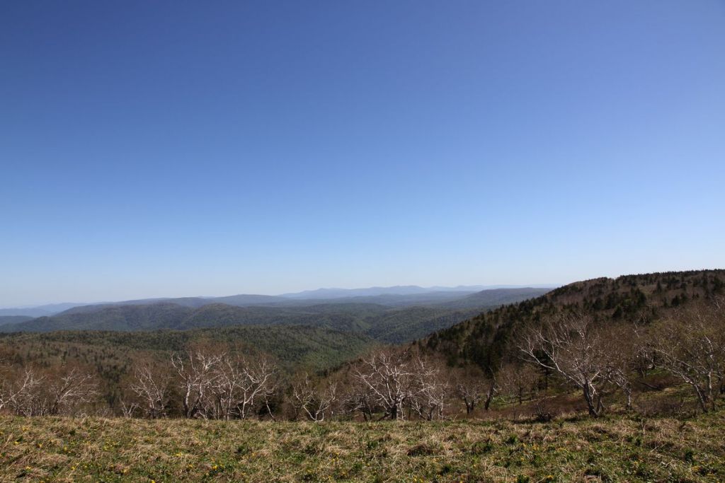 ���ɽ������Ƭ 171.jpg