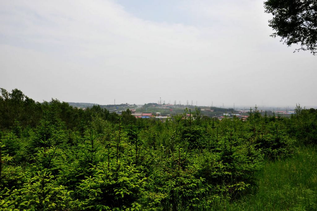 DSC_0056.JPG