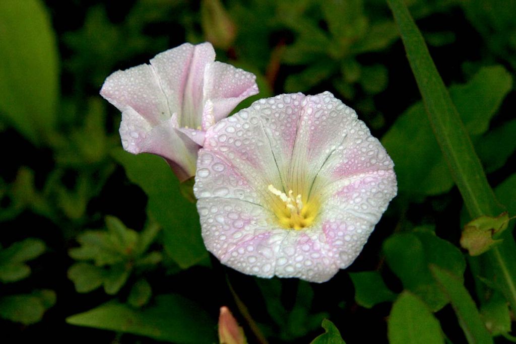 DPP_0140.jpg