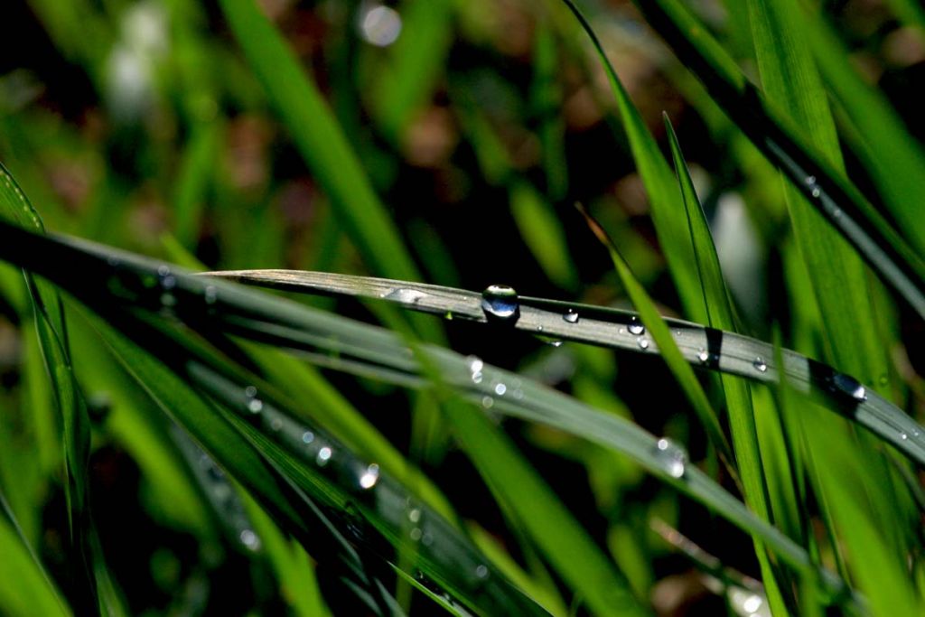 DPP_0038.jpg