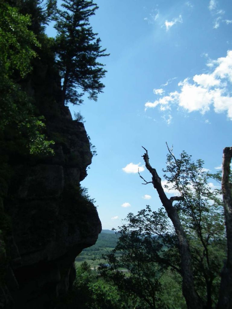 DSCF0027.JPG