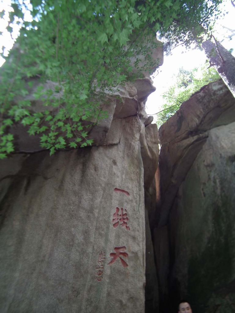 DSCF0007.JPG
