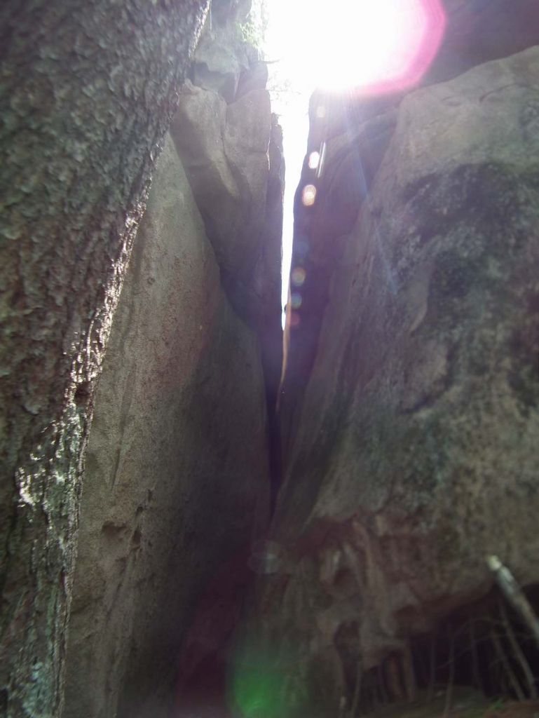DSCF0008.JPG