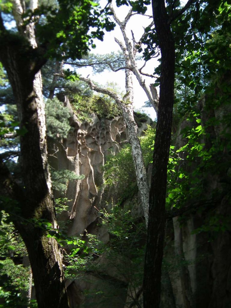 DSCF0018.JPG
