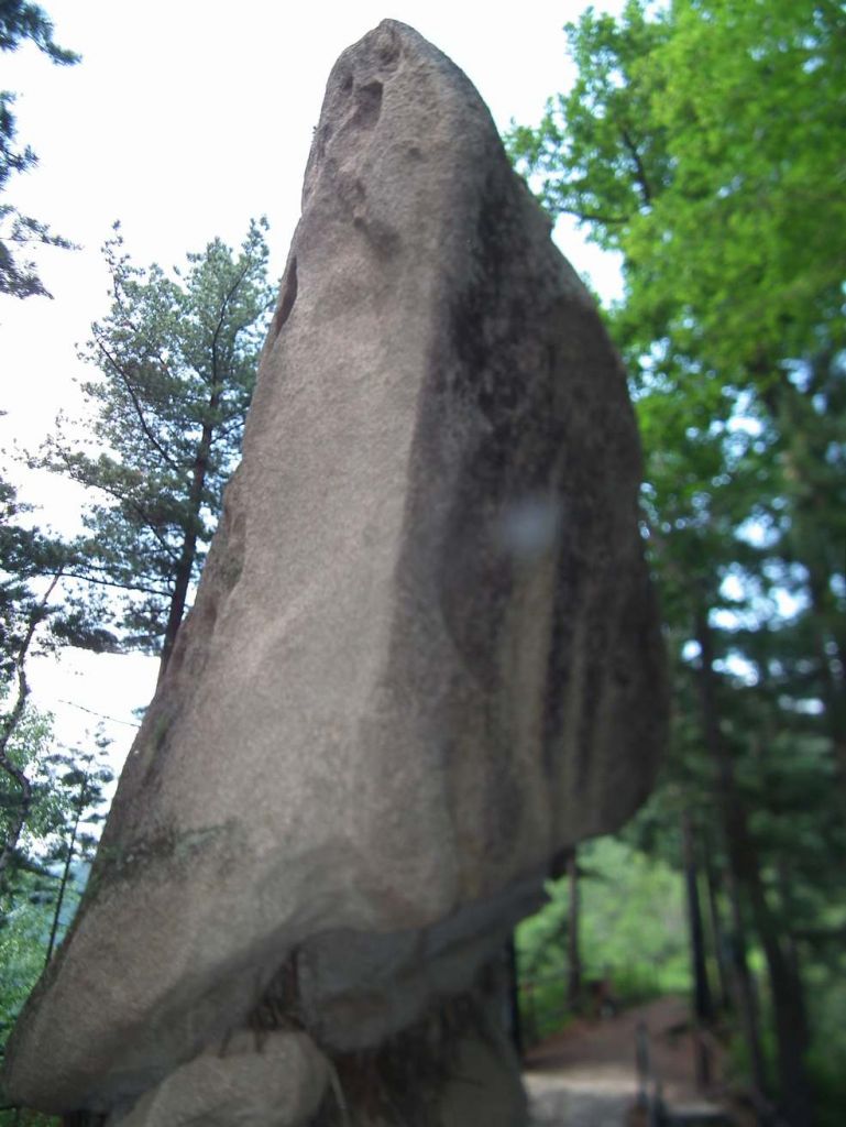 DSCF0262.JPG