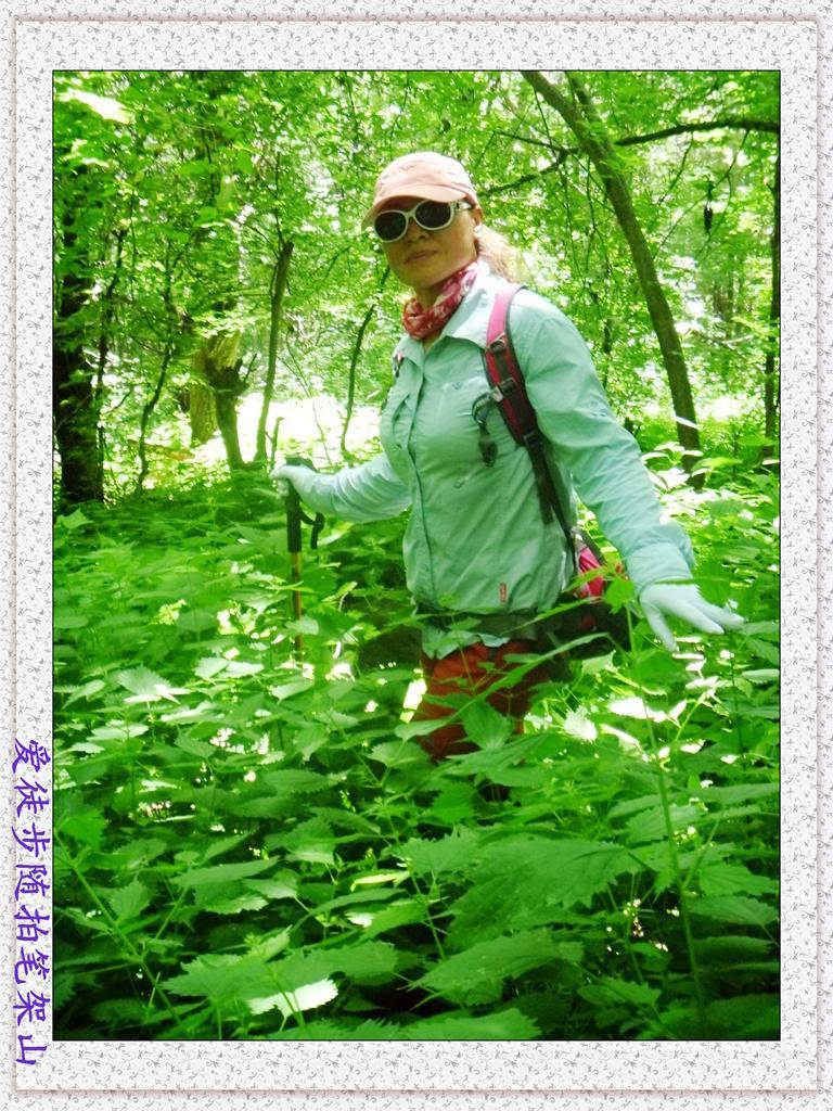 038.jpg