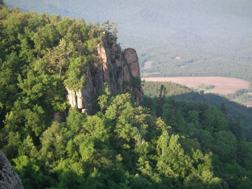 DSCF0574.JPG