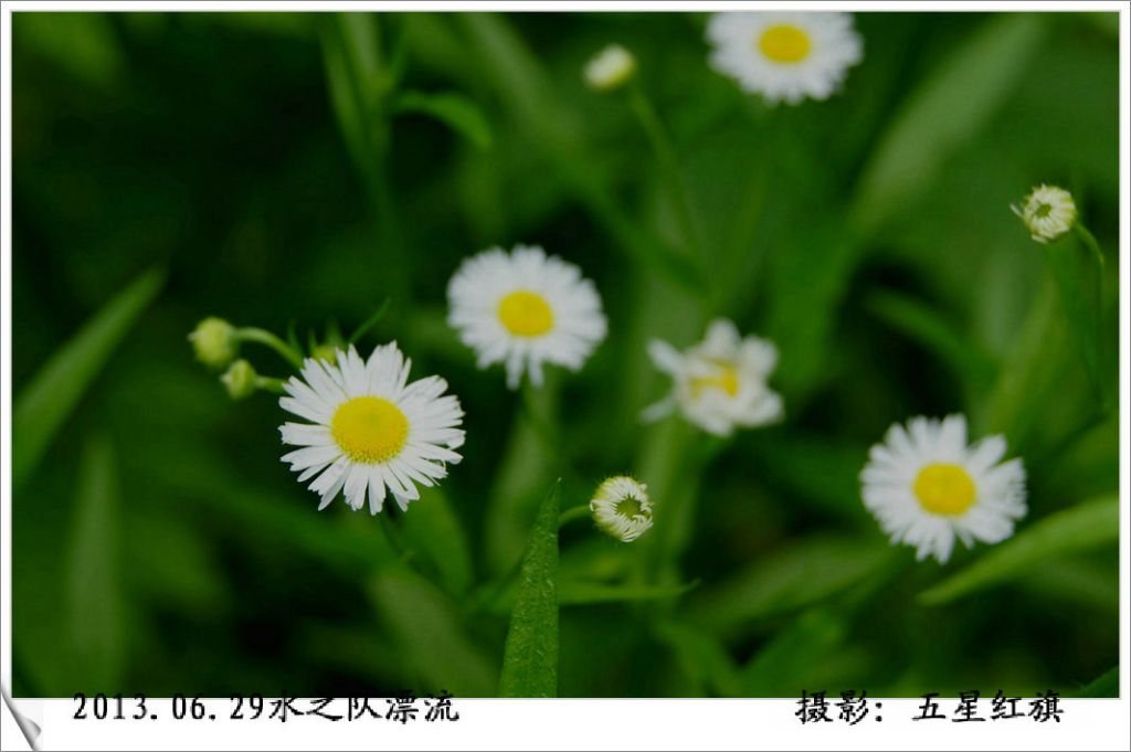 DSC04910_meitu_47.jpg