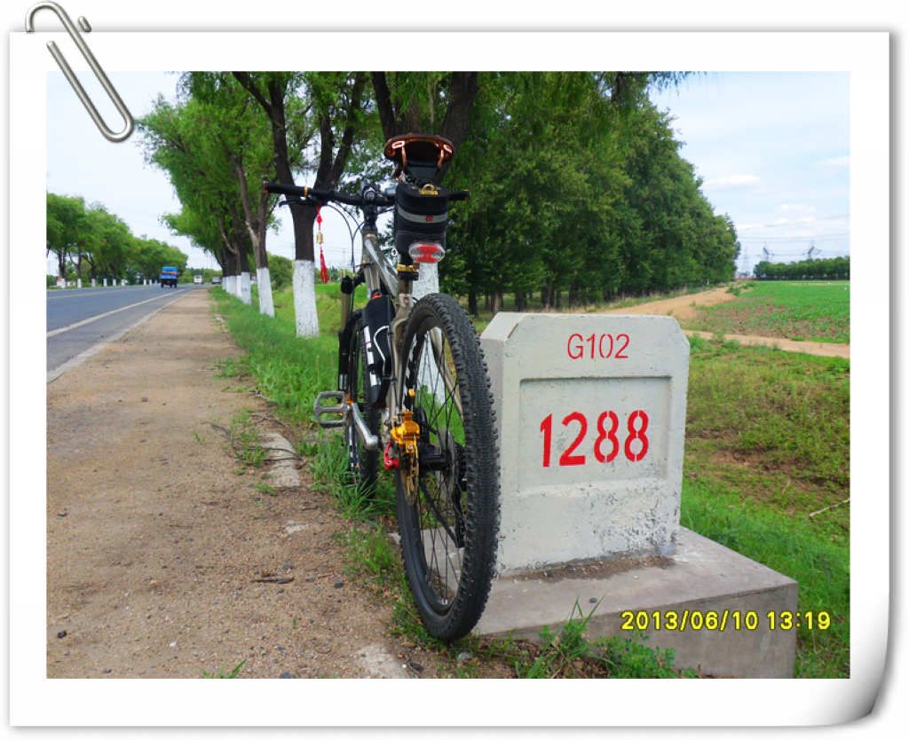SDC10159.jpg