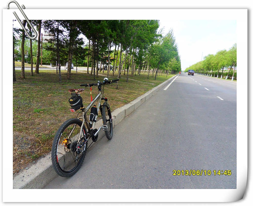 SDC10163.jpg