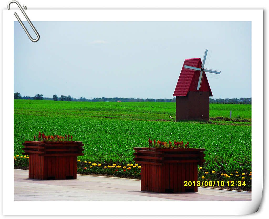 SDC10156.jpg