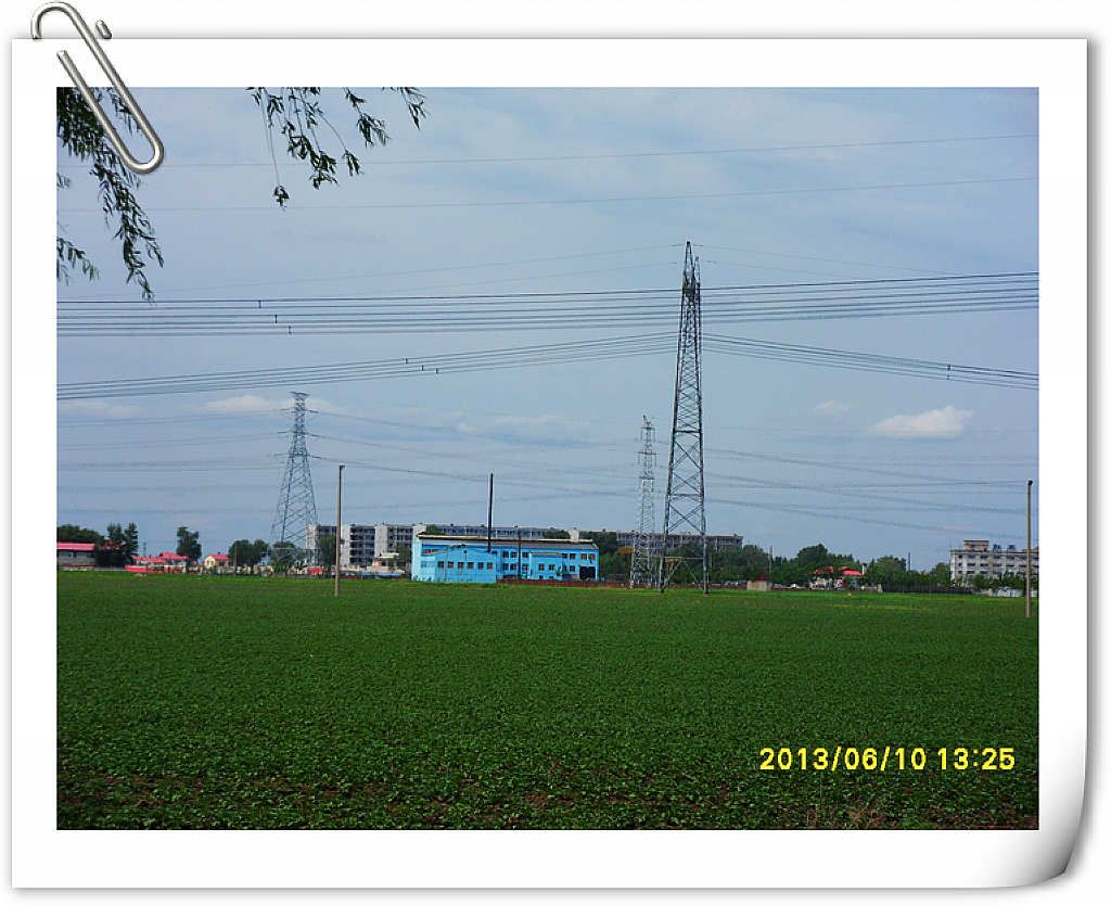 SDC10161.jpg