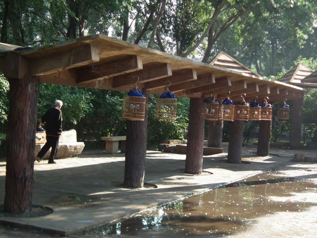 DSCF9618.JPG