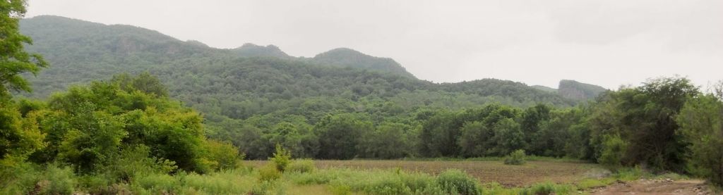 DSCN7021.jpg