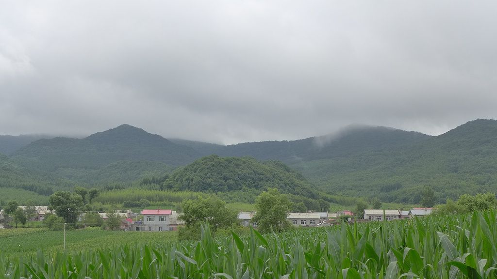 P1030790.JPG