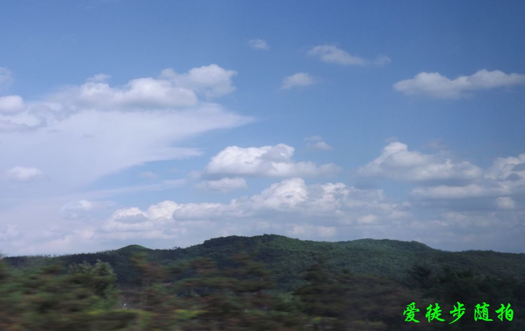 DSCF1067.jpg