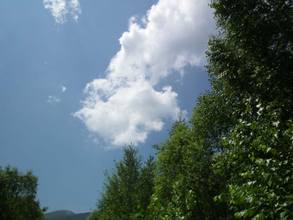 DSCF3539.JPG