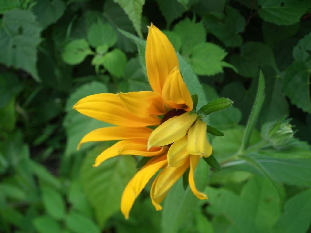 DSCF3817.JPG