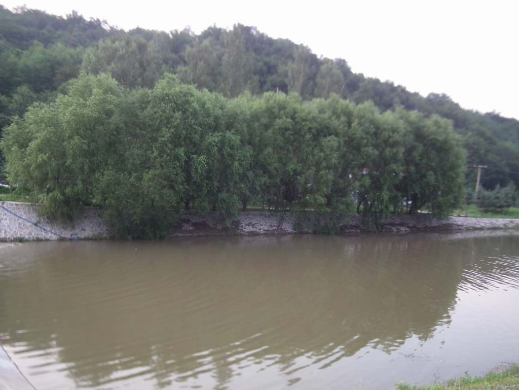 DSCF3886.JPG