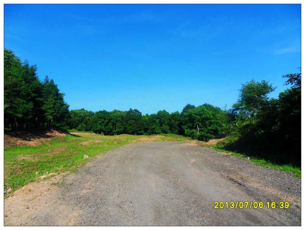 SDC10738.jpg