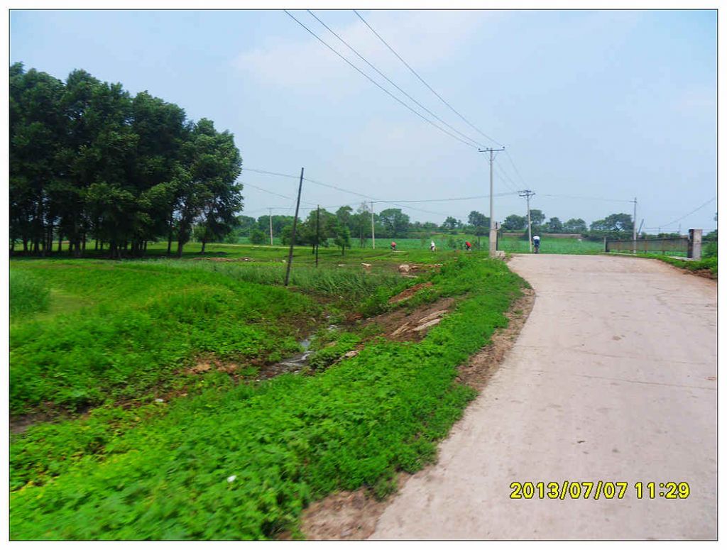 SDC10938.jpg