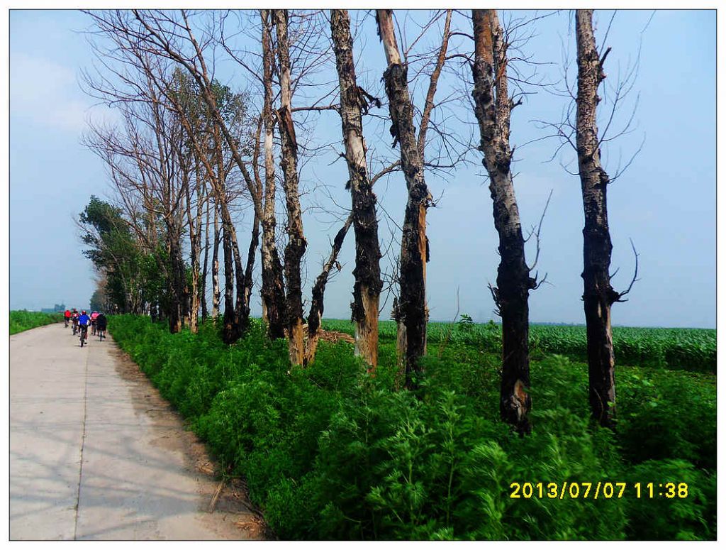 SDC10949.jpg