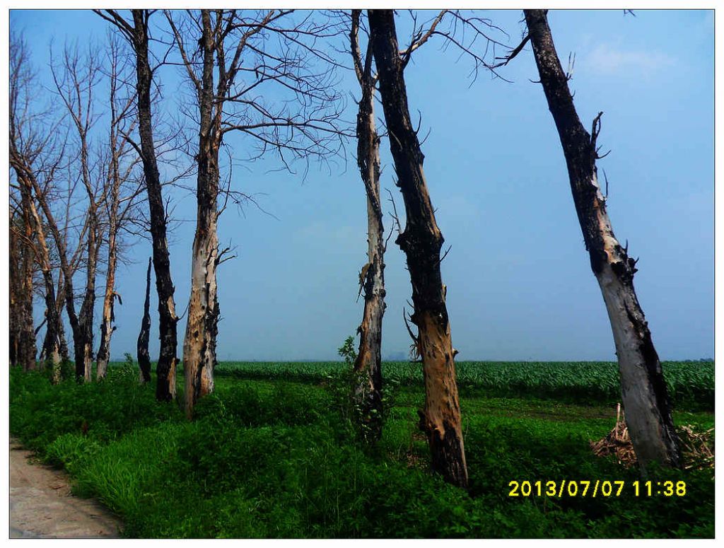 SDC10947.jpg