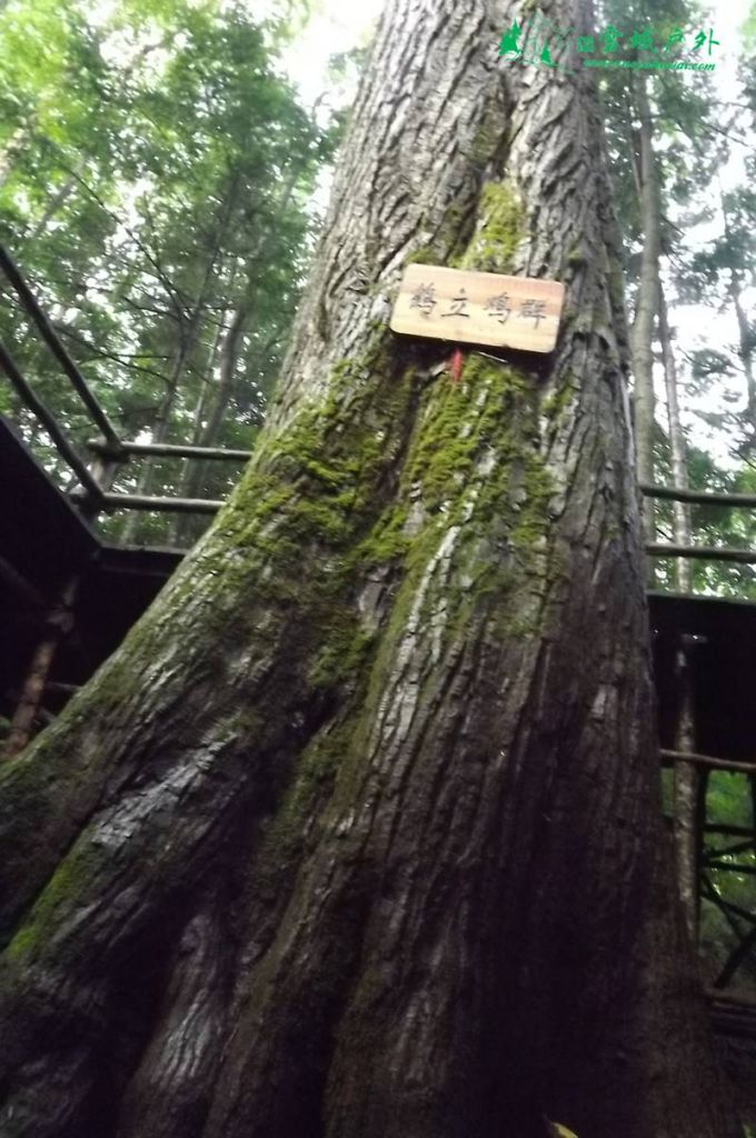 DSCF4932.JPG