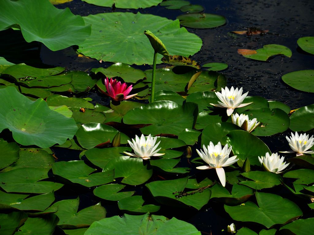 DSC_0014.JPG