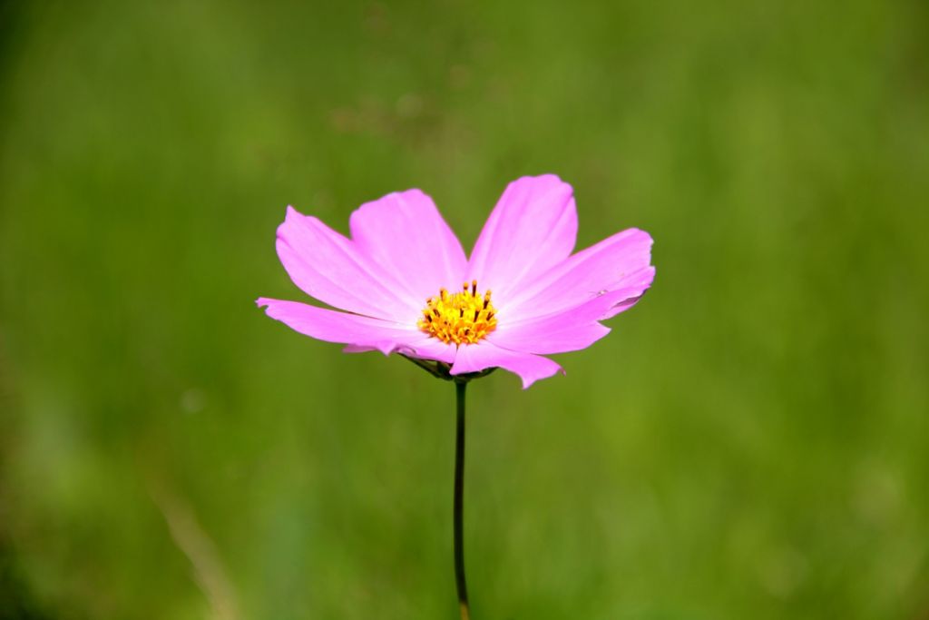 IMG_0874.jpg