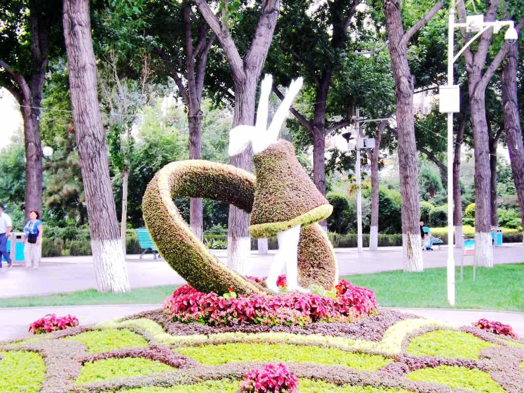 DSCF2795.JPG