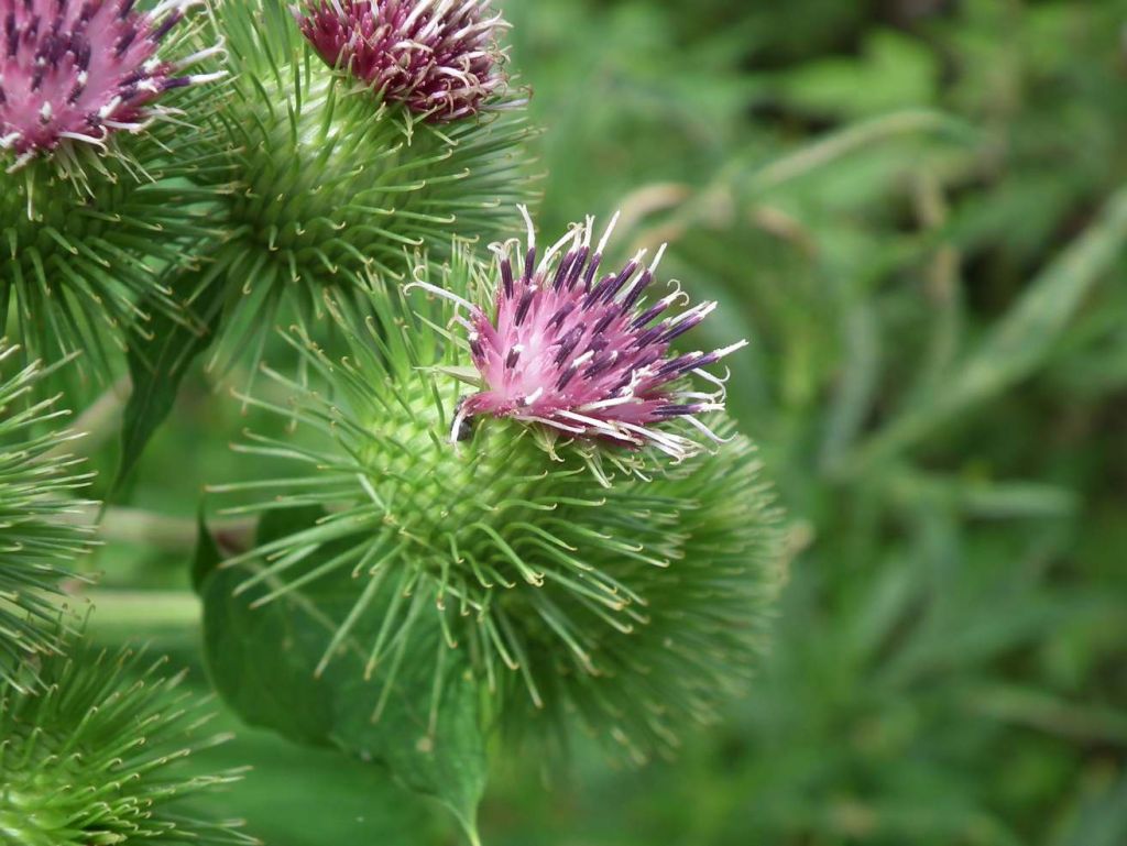 DSCF6570.JPG