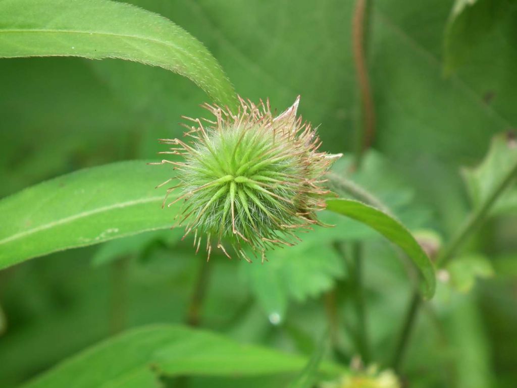 DSCF6571.JPG