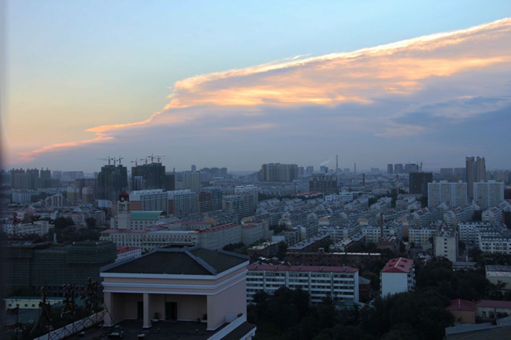 IMG_3501.jpg