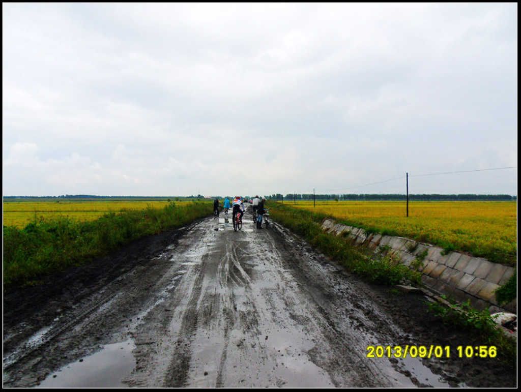 SDC12230.jpg