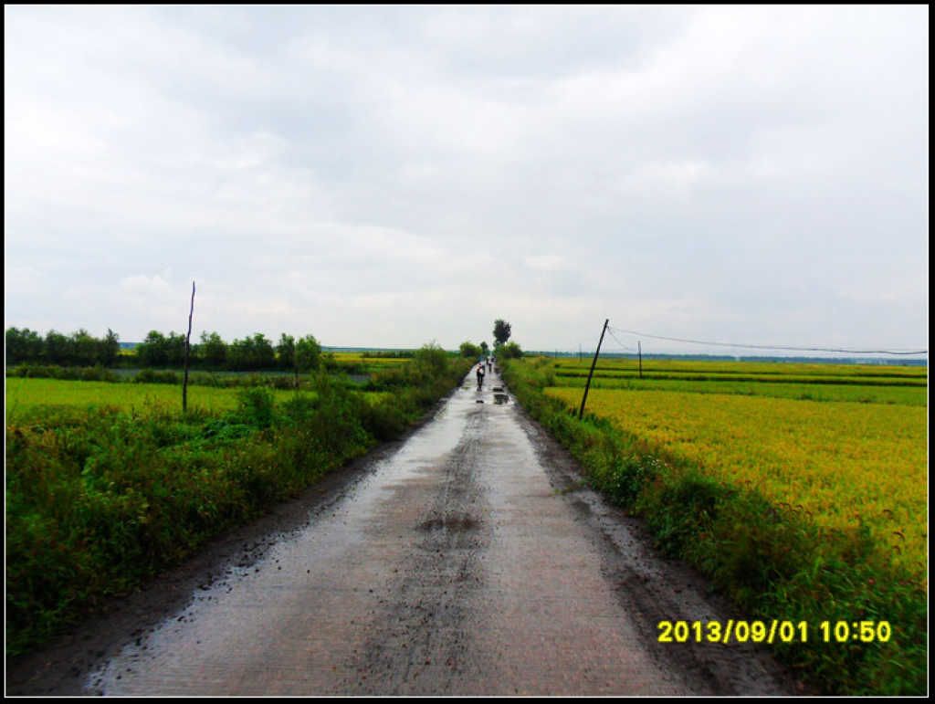 SDC12227.jpg