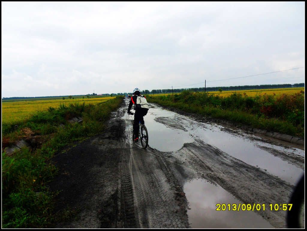 SDC12232.jpg