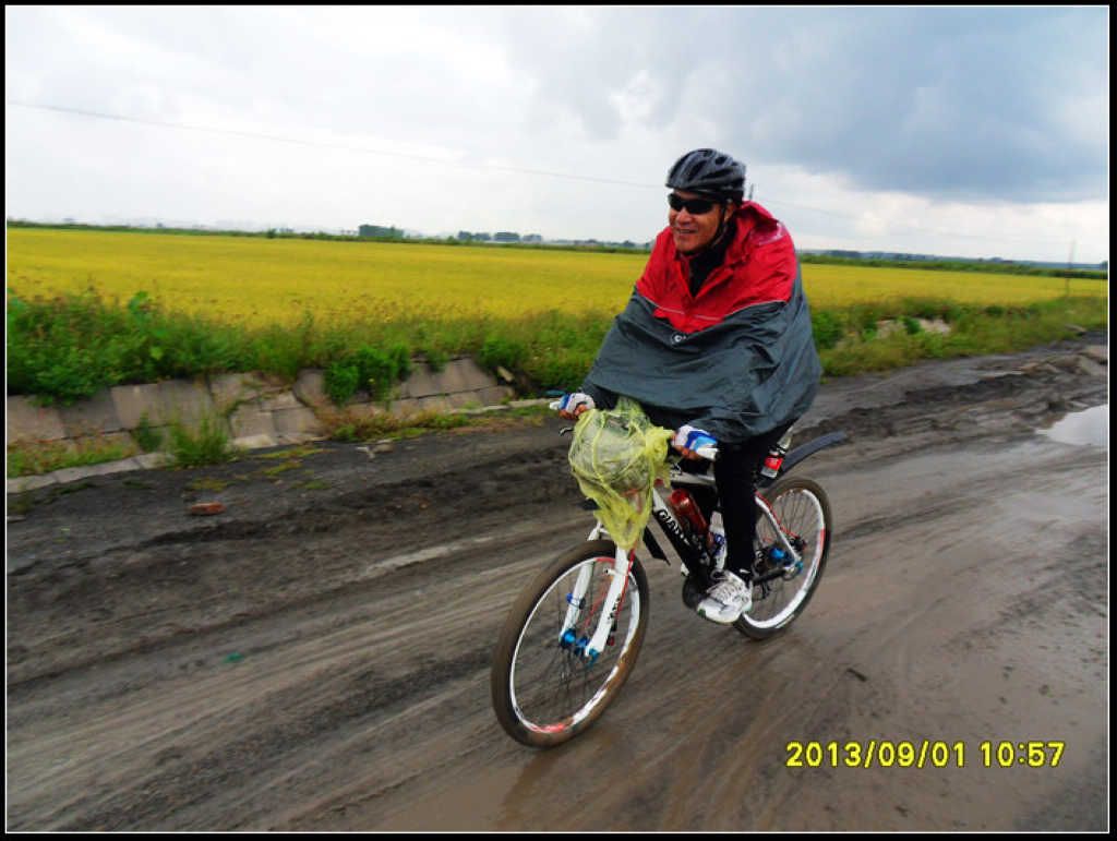 SDC12240.jpg